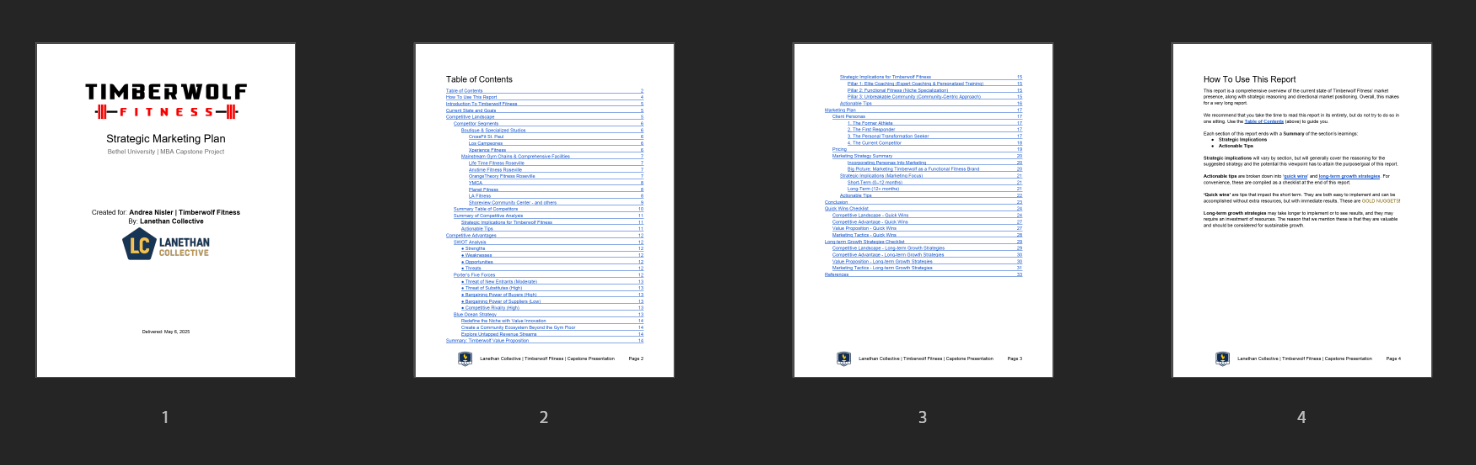 SAMPLE - Marketing Audit